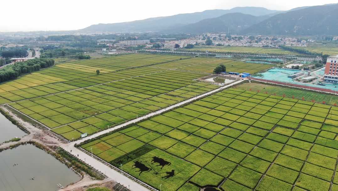 太原市2022年打造40個(gè)美麗宜居示范村