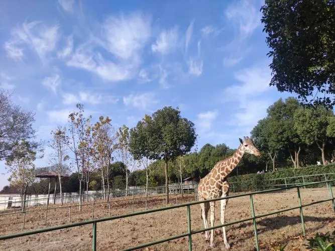 早春三月春暖花開 市民逛動物園植物園有更多優(yōu)惠