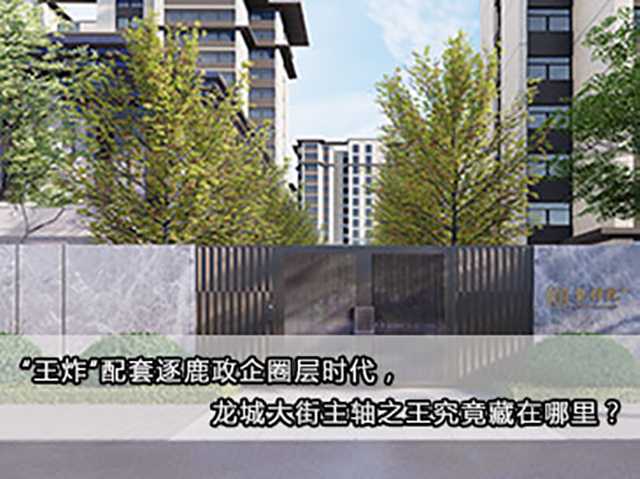 “王炸”配套逐鹿政企圈層時代，龍城大街主軸之王究竟藏在哪里？ 