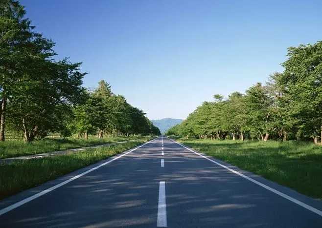 查找病因 守護(hù)安全 “探地雷達(dá)”給道路做“CT”