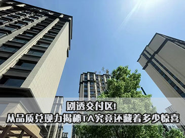 劇透交付區(qū)! 從品質(zhì)兌現(xiàn)力揭秘TA究竟還藏著多少驚喜 
